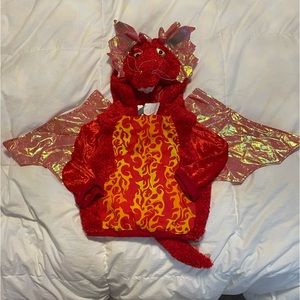 4-5t Dragon costume